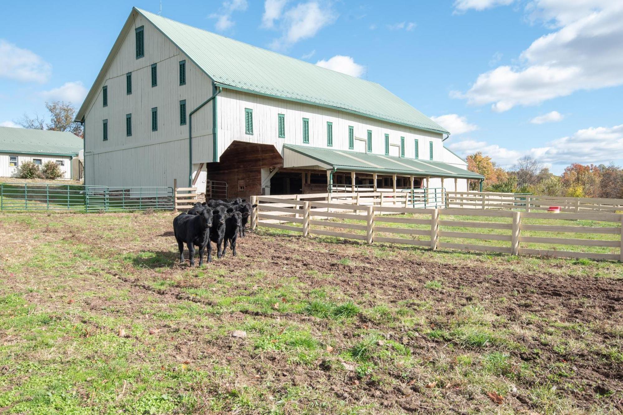 Cozy Cow With Pool! Villa Gettysburg Ngoại thất bức ảnh